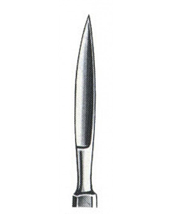 GM- 01-1019-11