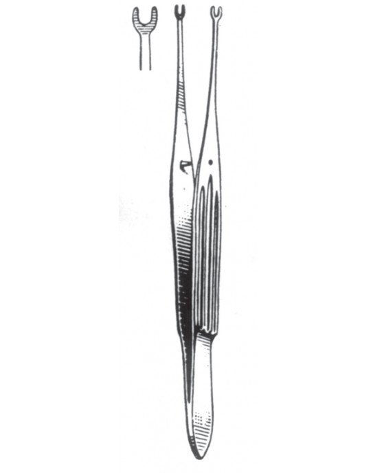 GM- 08-2040-15