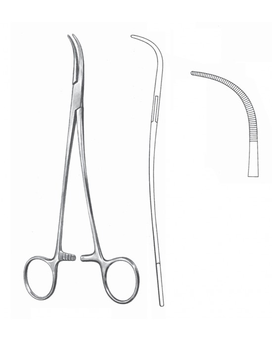 GM- 11-2666-21