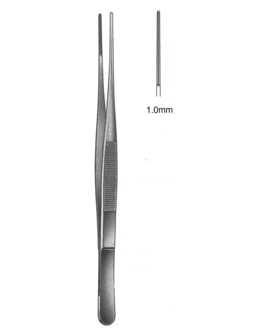 GM- 19-5505-19