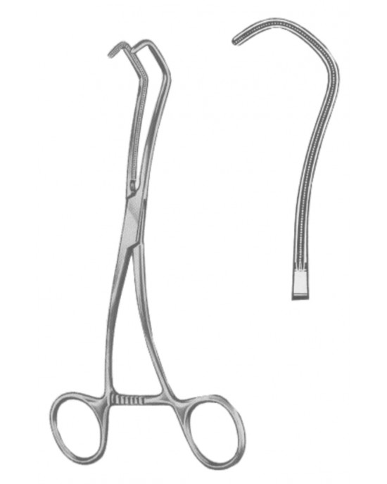 GM- 19-5589-17