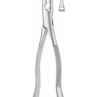 Extracting Forceps, American Pattern