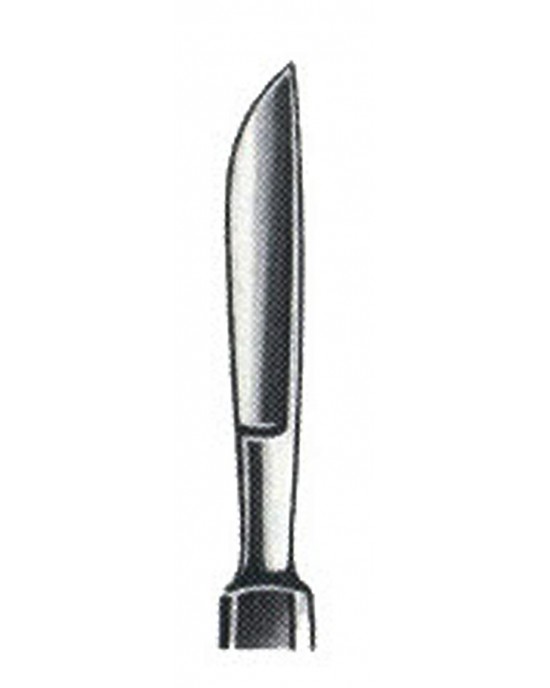 GM- 01-1019-02