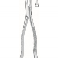 Dental Instruments